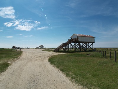 P000235