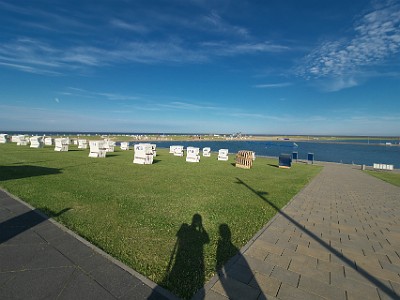 P000262