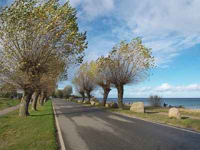 P000129