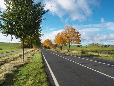 P000161