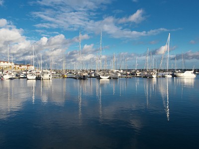 P000176