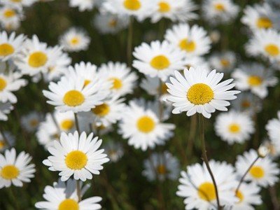 P000380