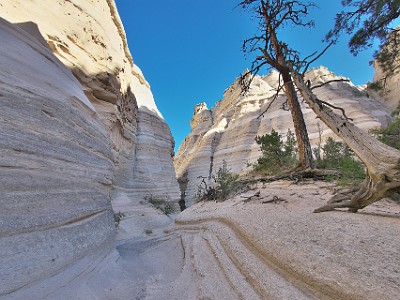 P000359