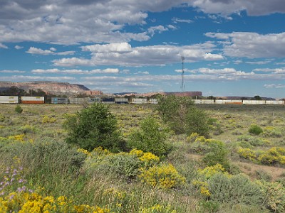 P000385