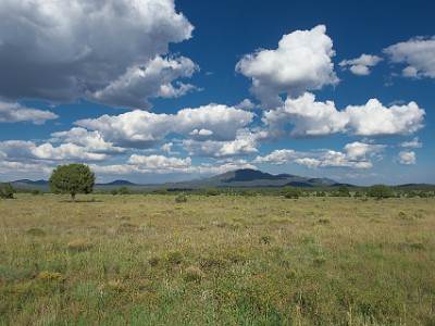 P000429