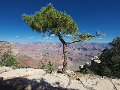 P000453