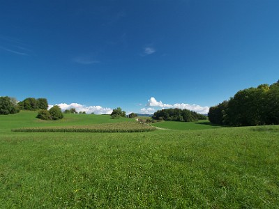 P000132