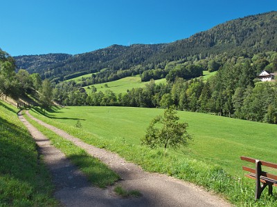 P000158