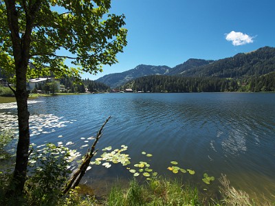 P000347
