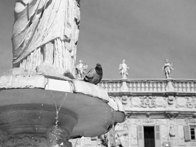 IMG 4289