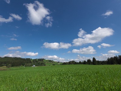 P000023