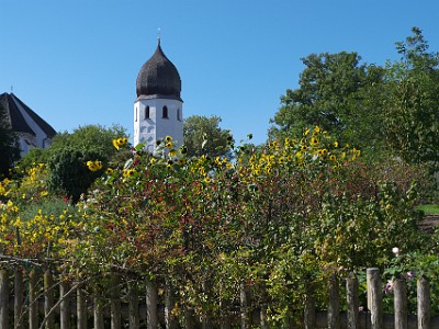 P000346