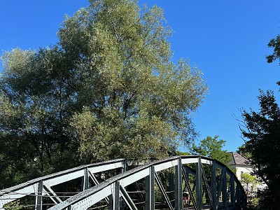 P000146