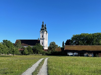P000181