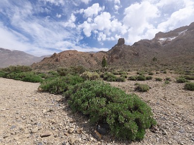 P1150694
