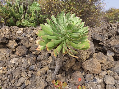 P1150808