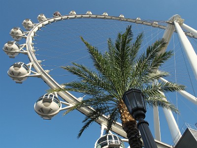 P000033