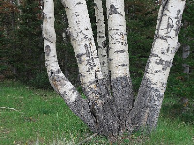 P000169