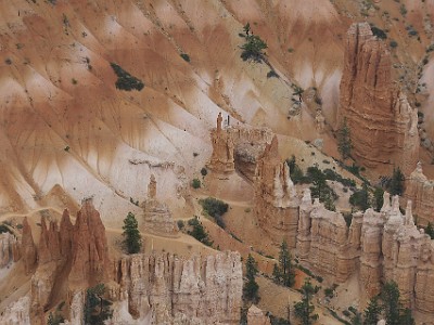 P000195