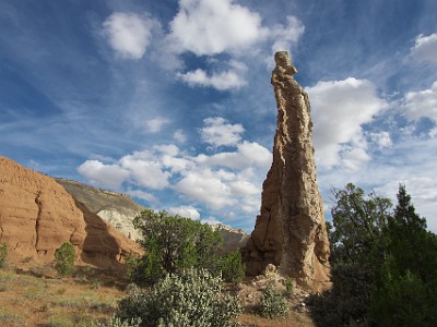 P000211