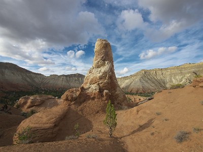 P000215