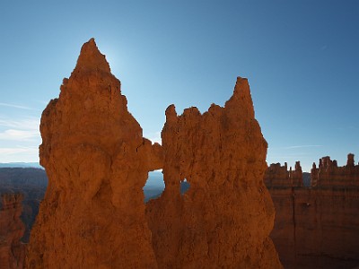 P000238