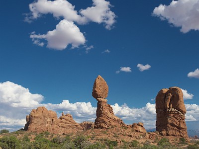 P000338