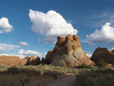 P000348