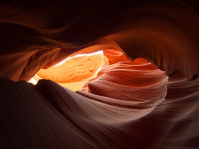 P000495