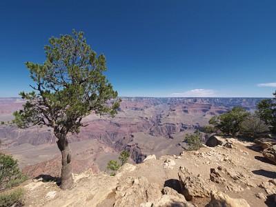 P000109