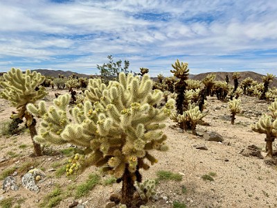 P000163