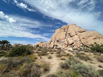 P000164