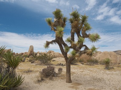 P000170