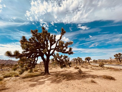 P000176