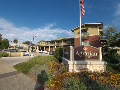 P000241