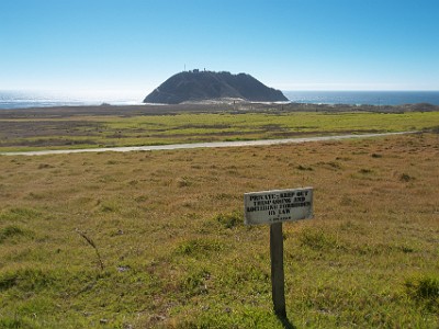 P000337