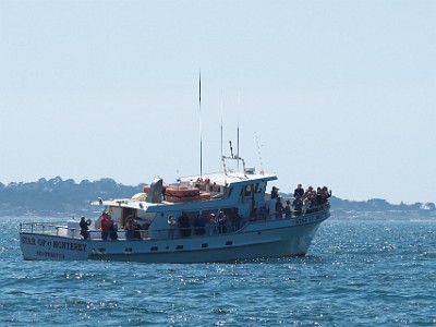 P000404