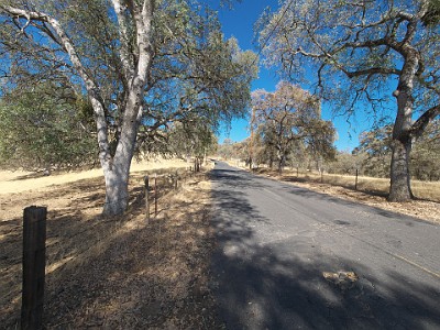 P000530