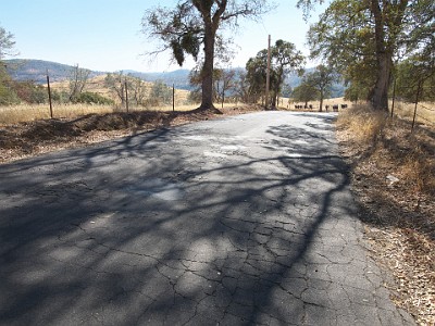P000531