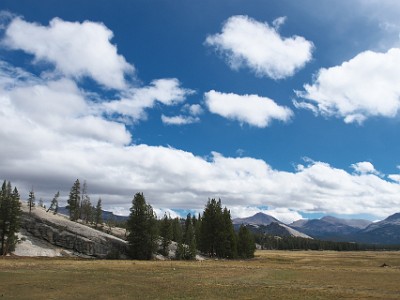 P000588