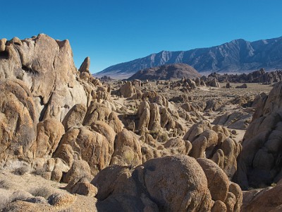 P000612