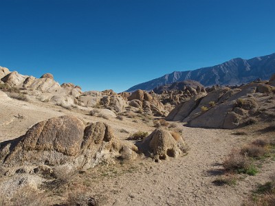 P000628