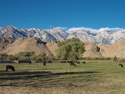 P000644