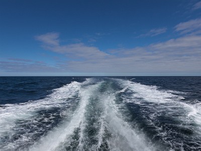 P000178