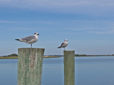 P000698