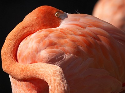 P1040402